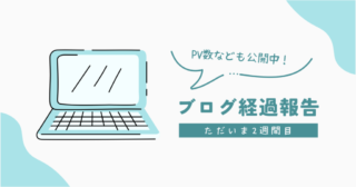 【経過報告】ブログ開始から2週間のPV数と収益を公開