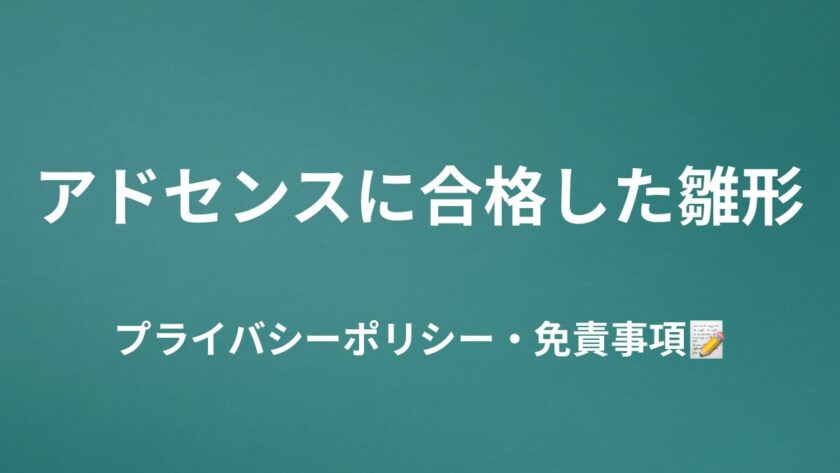 Googleアドセンスに合格した雛形|プライバシーポリシー・免責事項【コピペOK】